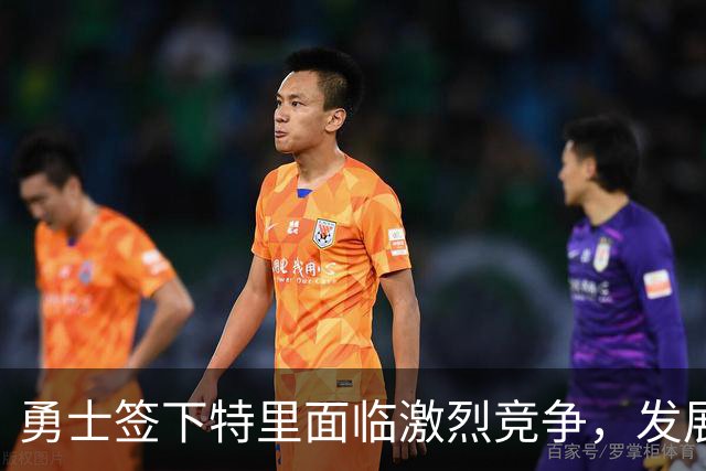勇士签下特里面临激烈竞争，发展联盟或成未来去向