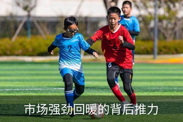 市场强劲回暖的背后推力