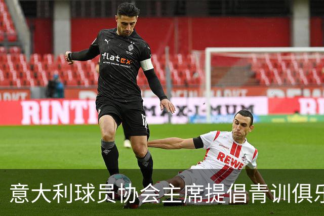 意大利球员协会主席提倡青训俱乐部应获奖励