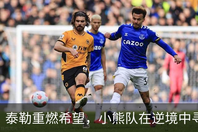 泰勒重燃希望，小熊队在逆境中寻找曙光